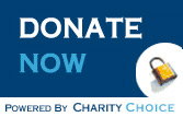 donate now